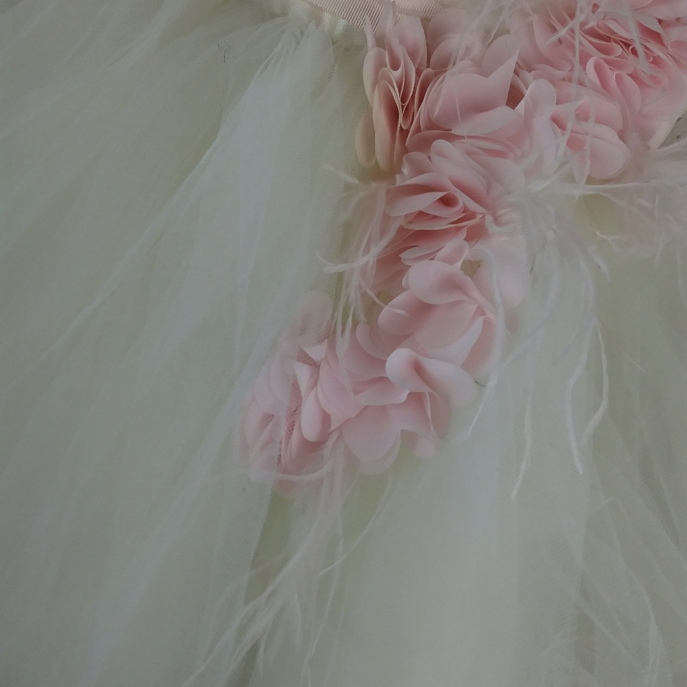 Zoe Ltd White Label Ivory Pink Formal Tulle Dress - Picture 4 of 7